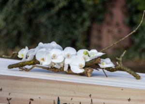 Intens verbonden een sober gebonden afscheidsboeket met witte Phaleanopsis orchideeën.